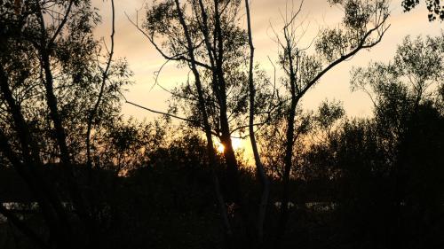 Campingplatz
