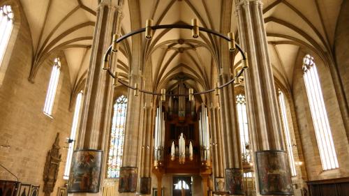 Dom St. Severi