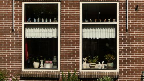 Graft / De Rijp