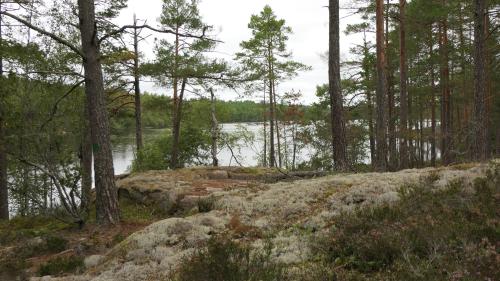 Hammarsjön Runt