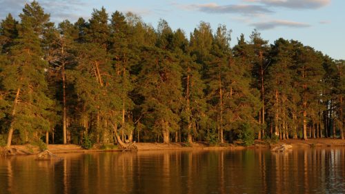 Hedesunda Camping