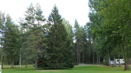 Hedesunda Camping