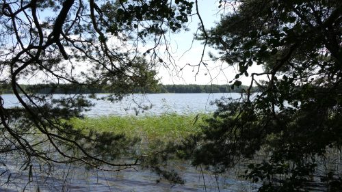Hedesunda Camping