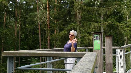 Baumwipfelpfad Heidehimmel
