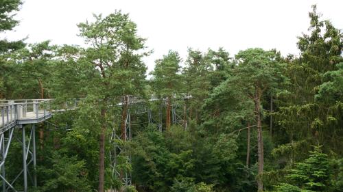 Baumwipfelpfad Heidehimmel