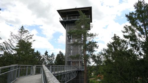 Baumwipfelpfad Heidehimmel