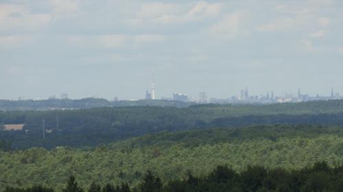 Baumwipfelpfad Heidehimmel
