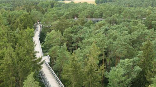 Baumwipfelpfad Heidehimmel