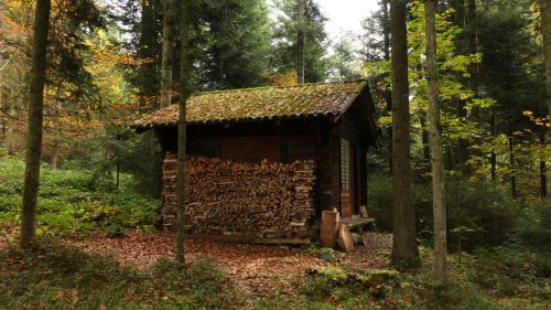 Schächbeler Wald