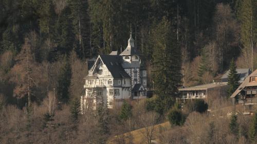 Hinterzarten