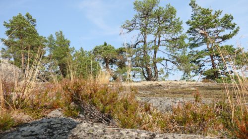 Klubbsjön Runt