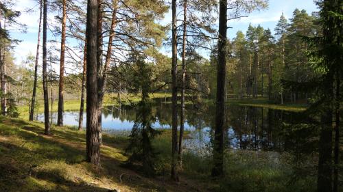 Knuthöjdsmossen