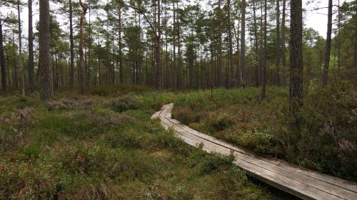 Nationalpark Åsnen