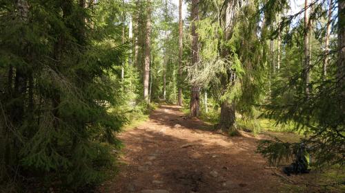 Nationalpark Norra Kvill