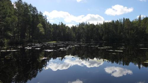 Nationalpark Norra Kvill