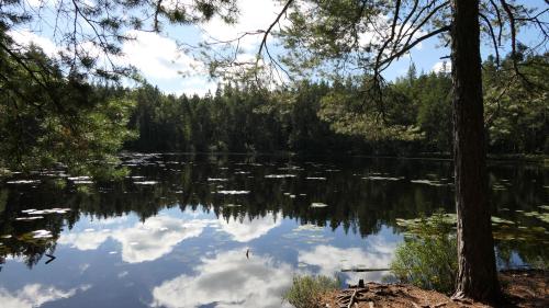Nationalpark Norra Kvill
