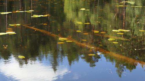 Nationalpark Norra Kvill