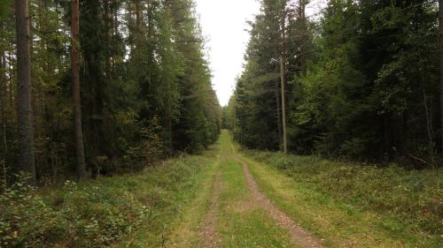 Naturreservat Hökhöjden