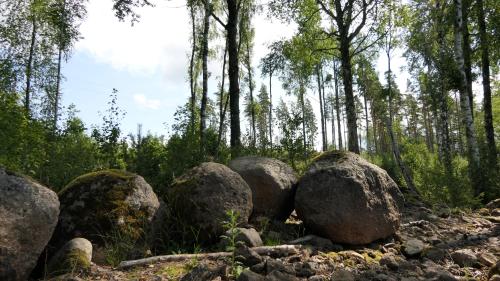 Ronnebyån See Runt