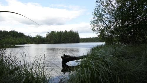 Ronnebyån See Runt