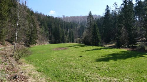 Schwarzwassertal