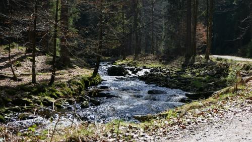 Schwarzwassertal
