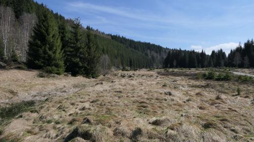 Schwarzwassertal