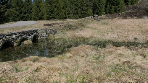 Schwarzwassertal