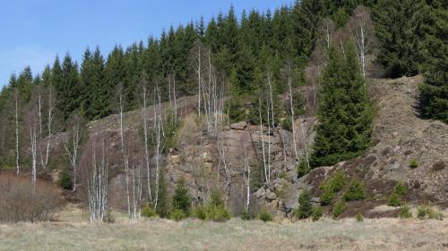 Schwarzwassertal