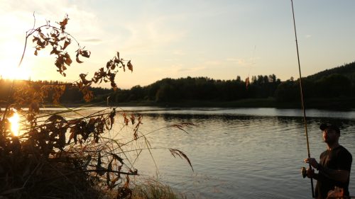 Selholmens Camping