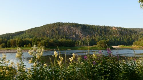 Selholmens Camping