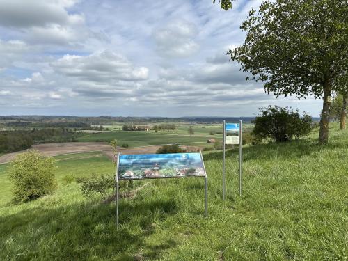 Steinpilz Rundweg