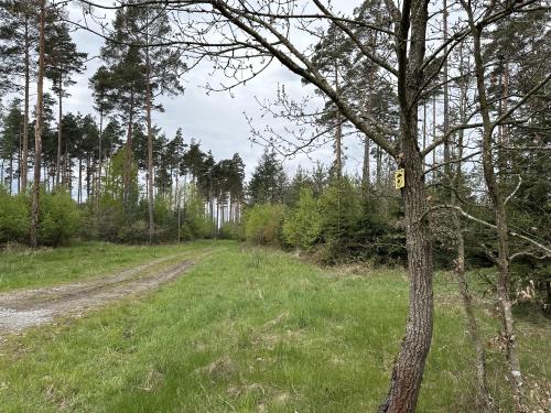 Steinpilz Rundweg