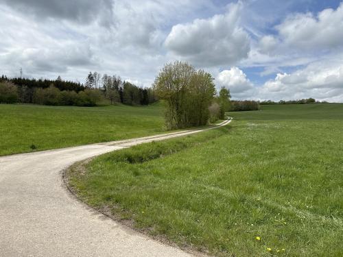 Steinpilz Rundweg