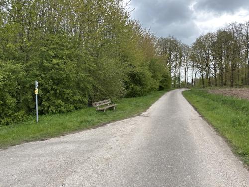 Steinpilz Rundweg