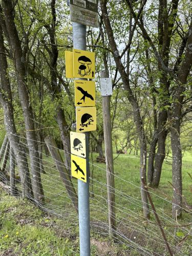 Steinpilz Rundweg