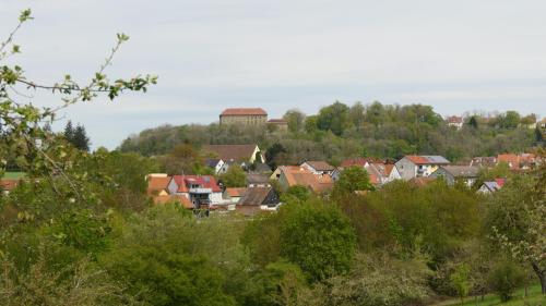 Steinpilz Rundweg
