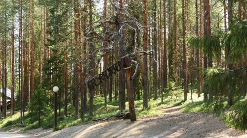 Storforsen