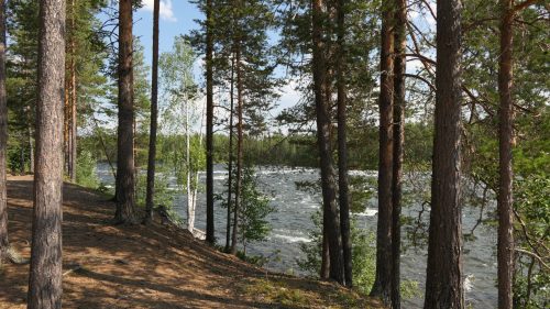 Storforsen