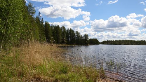 Venjanssjön